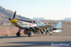 shooter_8202t.jpg