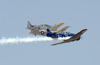 mF8_3379cdt.jpg