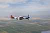 MF8_1638t.jpg