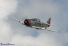 mm05.AT6_0698t.jpg