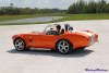 mm05.cobra_0181t.jpg