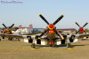 OSH-05_3928t.jpg