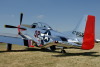 OK6_4485t.jpg