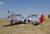 OK6_4461t.jpg