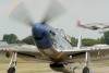 OK6_6025t.jpg