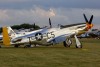 OK6_6192t.jpg