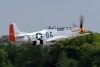 OK6_5031t.jpg