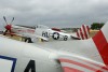 OK6_5627t.jpg