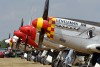 OK6_5842t.jpg