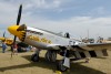 OK6_6313t.jpg