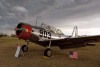 OK6_4794t.jpg