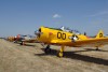 OK6_4554t.jpg