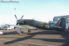 13-1t.jpg