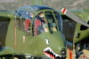 RN5_5787t.jpg