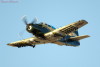 RN5_5894t.jpg
