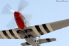 RN5_5009t.jpg