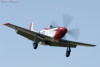 RR3_4903t.jpg