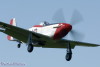 RR3_4905t.jpg