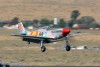 RN5_5231t.jpg