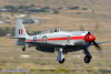 RN5_5252t.jpg