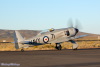 Reno5_2271t.jpg