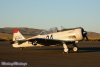 Reno5_2283t.jpg