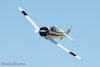 RN5_6174t.jpg