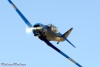RN5_6181t.jpg