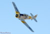RN5_6758t.jpg