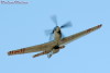 RN5_6441t.jpg
