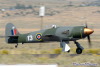 RN5_5185t.jpg
