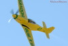 RN5_6585t.jpg
