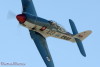 RN5_6589t.jpg
