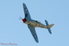 RN5_6596t.jpg