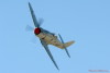 RN5_6609t.jpg