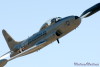 RN5_6686t.jpg