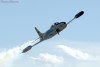 RN5_6786t.jpg