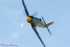 RN5_6795t.jpg