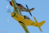 RN5_6826t.jpg