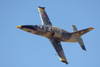 RN7_7745wt.jpg