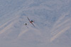 RN7_7821wt.jpg
