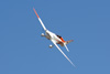 RN7_9229wt.jpg