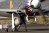 RN7_6186wt.jpg