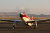 RN7_6530dt.jpg