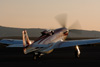 RN7_6540dt.jpg