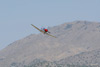 RN7_6678wt.jpg