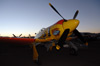 RN7_8083wt.jpg