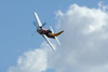 RN7_9830dt.jpg