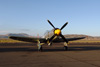 RN7_9993wt.jpg