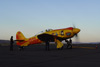 RN7_0013wt.jpg